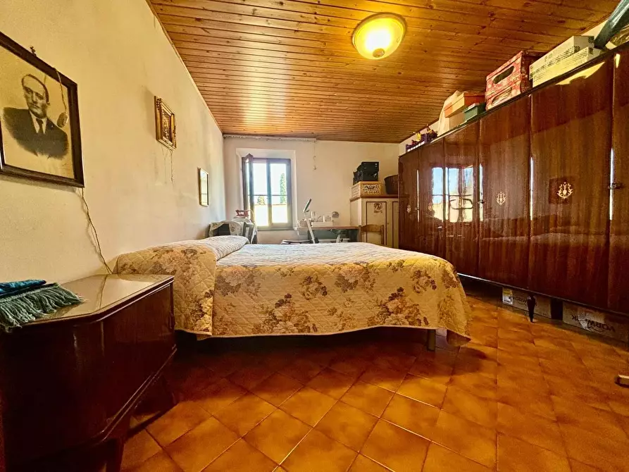 Immagine 5 di Appartamento in vendita  a Terricciola