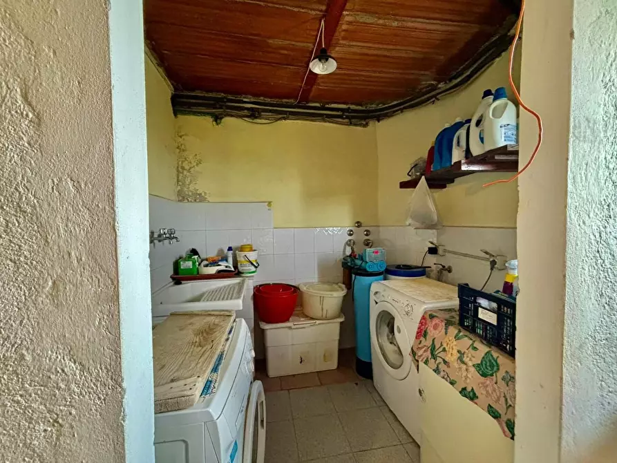 Immagine 6 di Appartamento in vendita  a Terricciola