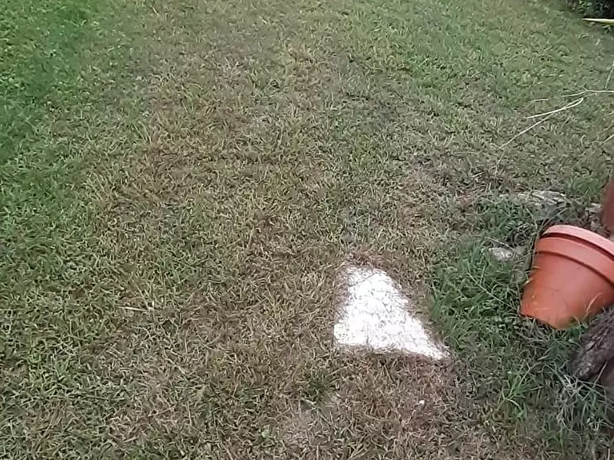 Immagine 7 di Casa bifamiliare in vendita  a Carrara