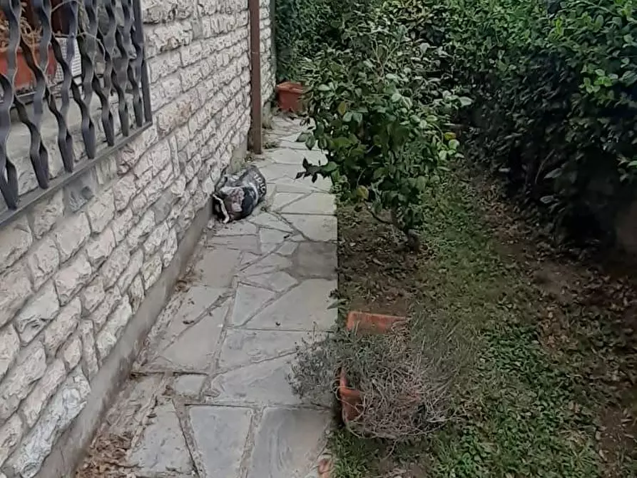 Immagine 14 di Casa bifamiliare in vendita  a Carrara