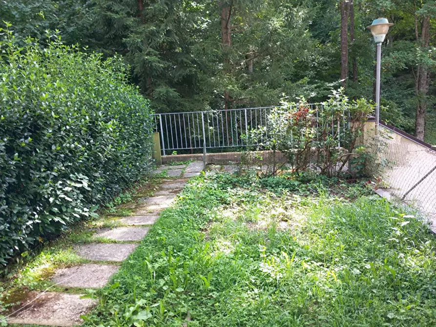 Immagine 19 di Appartamento in affitto  a Pievepelago