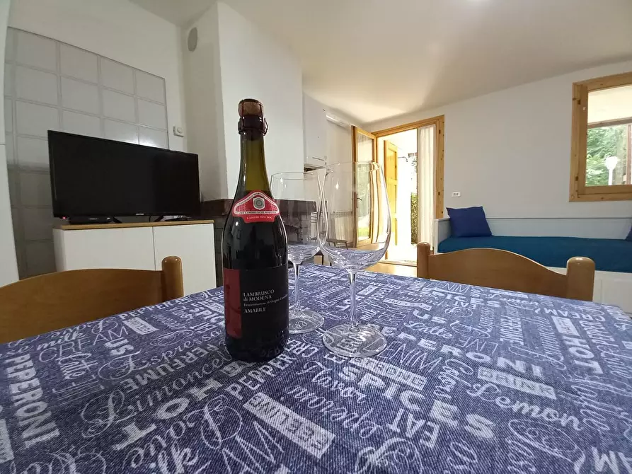 Immagine 34 di Appartamento in affitto  a Pievepelago