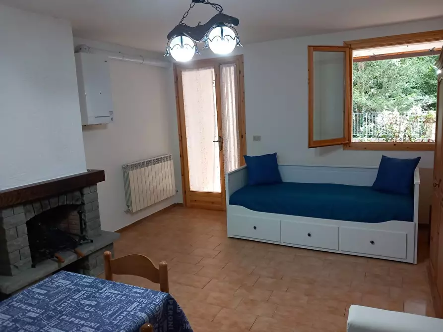 Immagine 7 di Appartamento in affitto  a Pievepelago