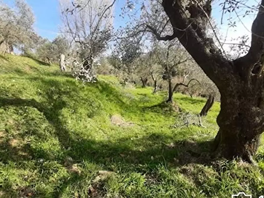 Immagine 2 di Villa in vendita  a Castelnuovo Magra