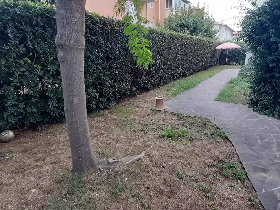 Immagine 1 di Appartamento in vendita  a Cecina