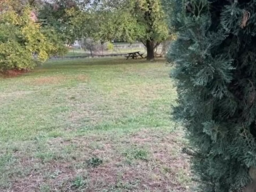 Immagine 1 di Terreno agricolo in vendita  a Fosdinovo