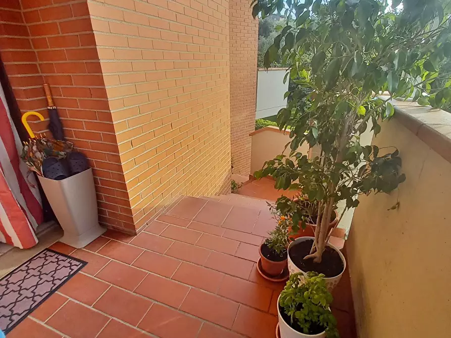 Immagine 37 di Appartamento in vendita  a Montaione