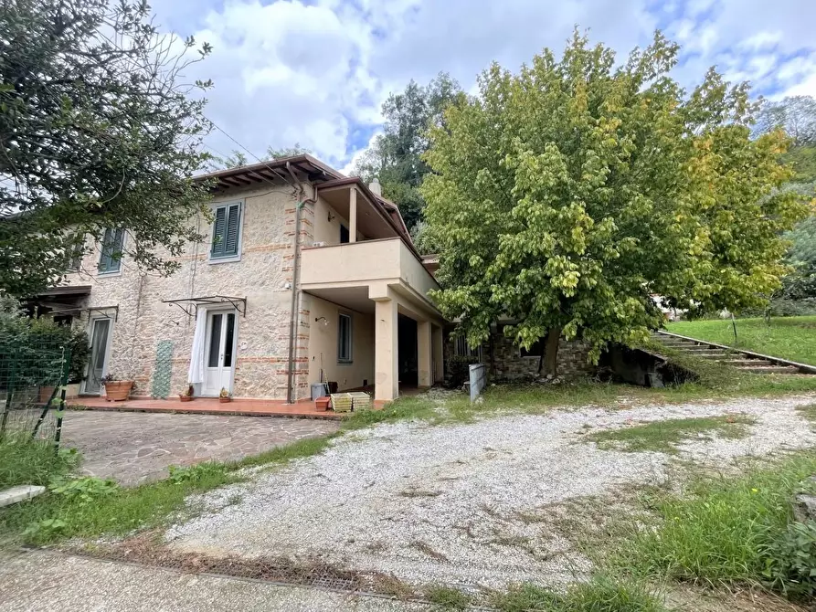 Immagine 1 di Casa bifamiliare in vendita  a Camaiore