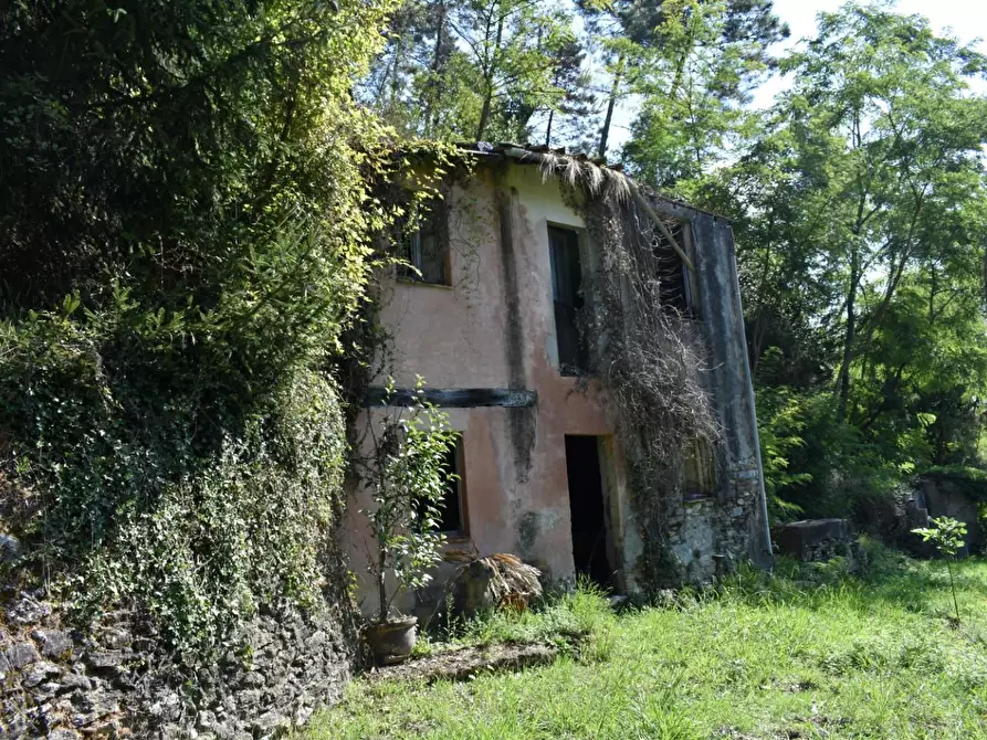 Immagine 34 di Casa colonica in vendita  a Camaiore