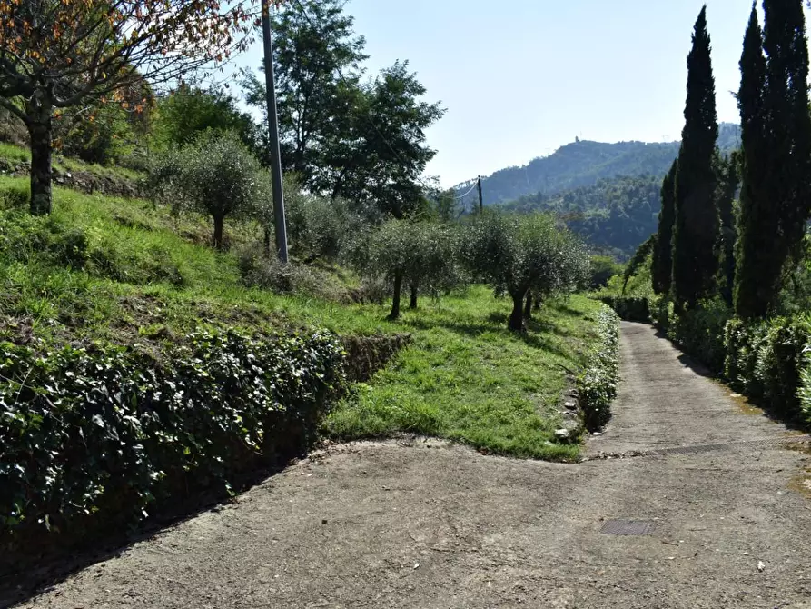 Immagine 3 di Casa colonica in vendita  a Camaiore