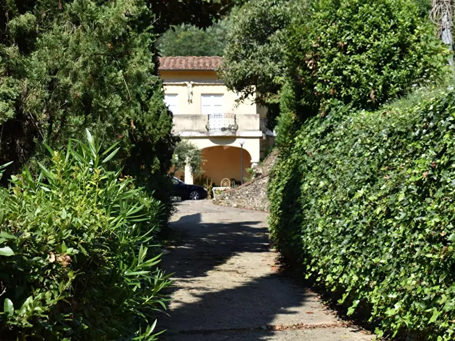 Immagine 5 di Casa colonica in vendita  a Camaiore