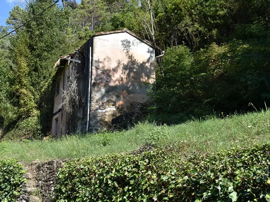 Immagine 36 di Casa colonica in vendita  a Camaiore