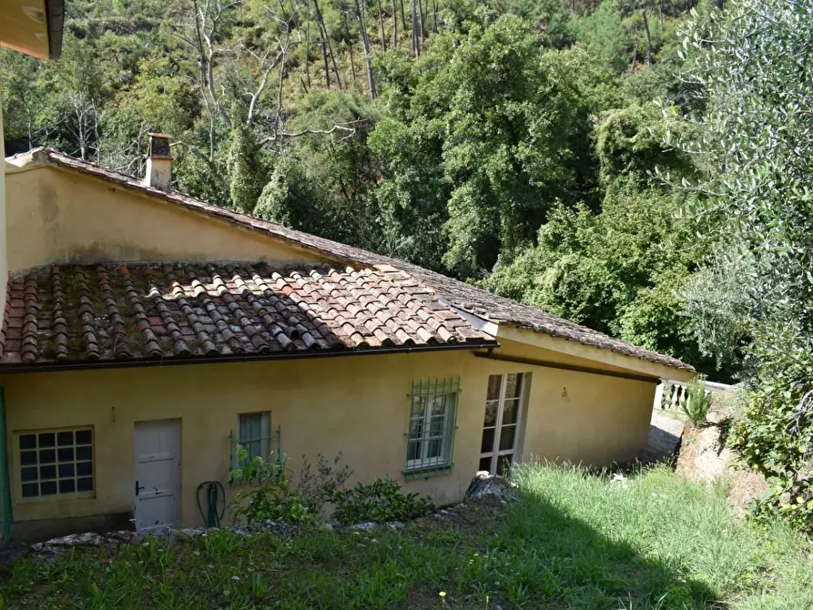 Immagine 30 di Casa colonica in vendita  a Camaiore