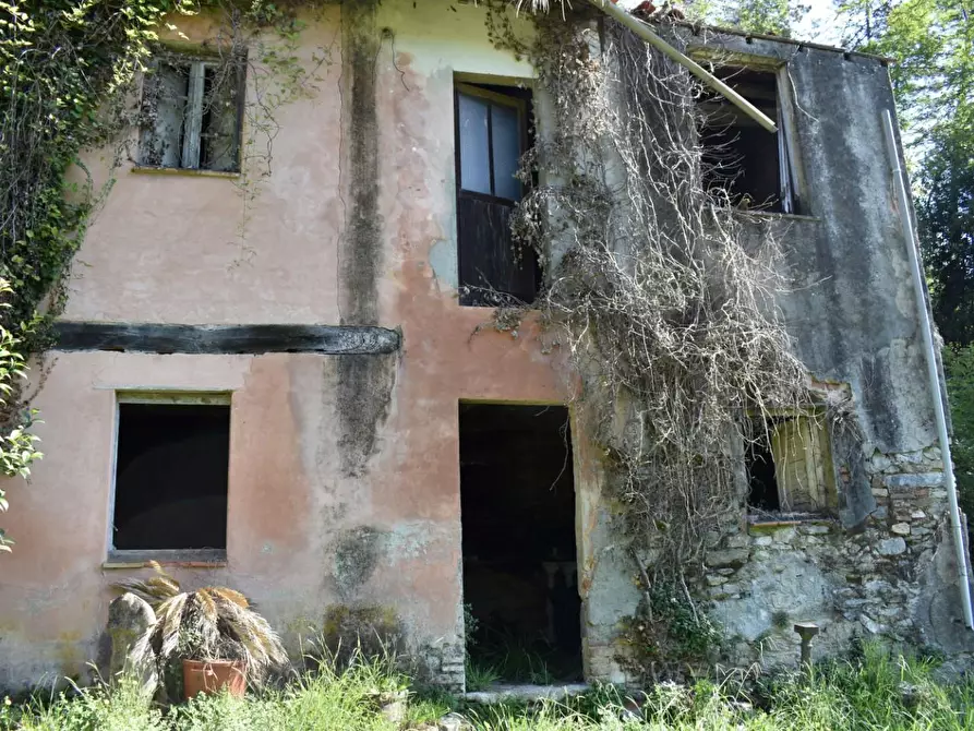 Immagine 35 di Casa colonica in vendita  a Camaiore