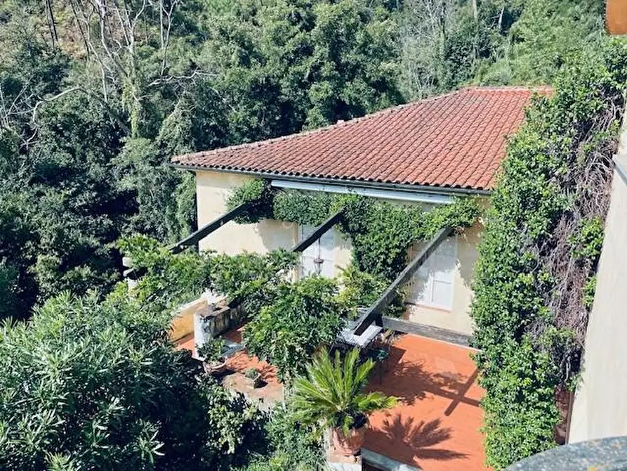 Immagine 32 di Casa colonica in vendita  a Camaiore