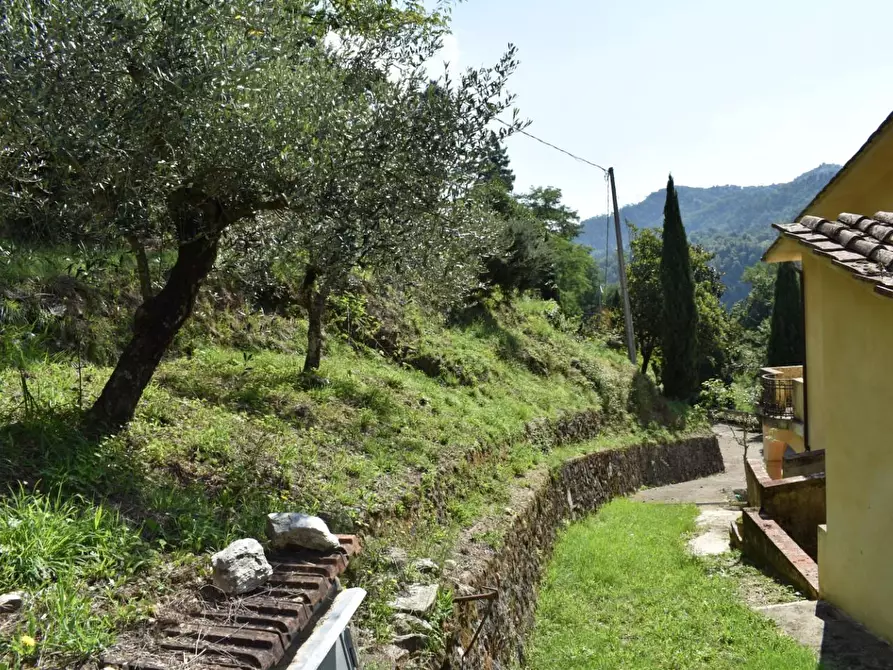 Immagine 31 di Casa colonica in vendita  a Camaiore