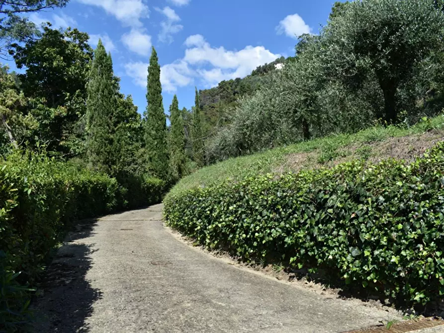 Immagine 4 di Casa colonica in vendita  a Camaiore