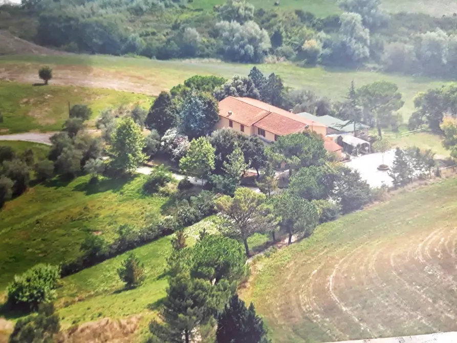 Immagine 4 di Rustico / casale in vendita  a Casciana Terme Lari