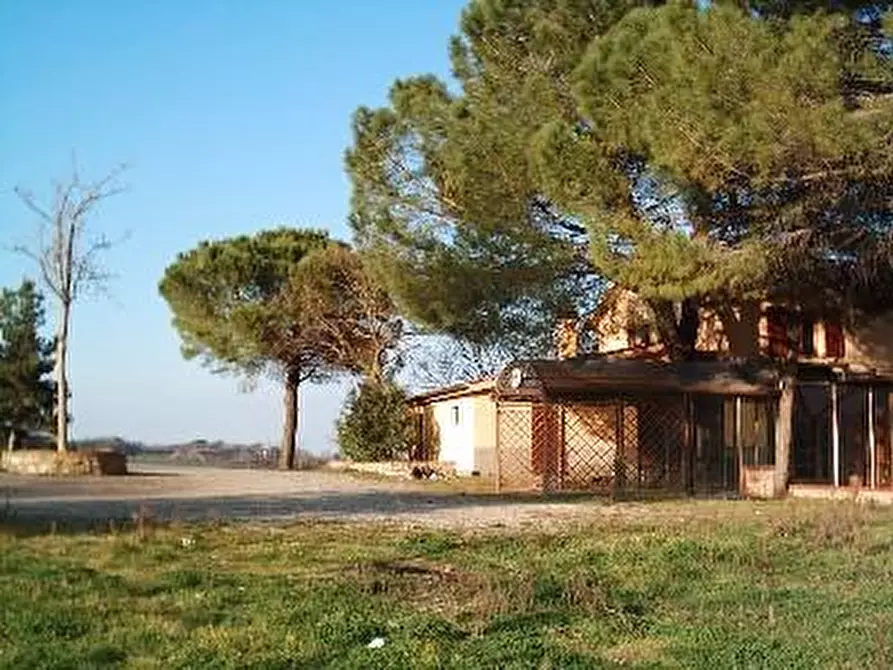 Immagine 7 di Rustico / casale in vendita  a Casciana Terme Lari