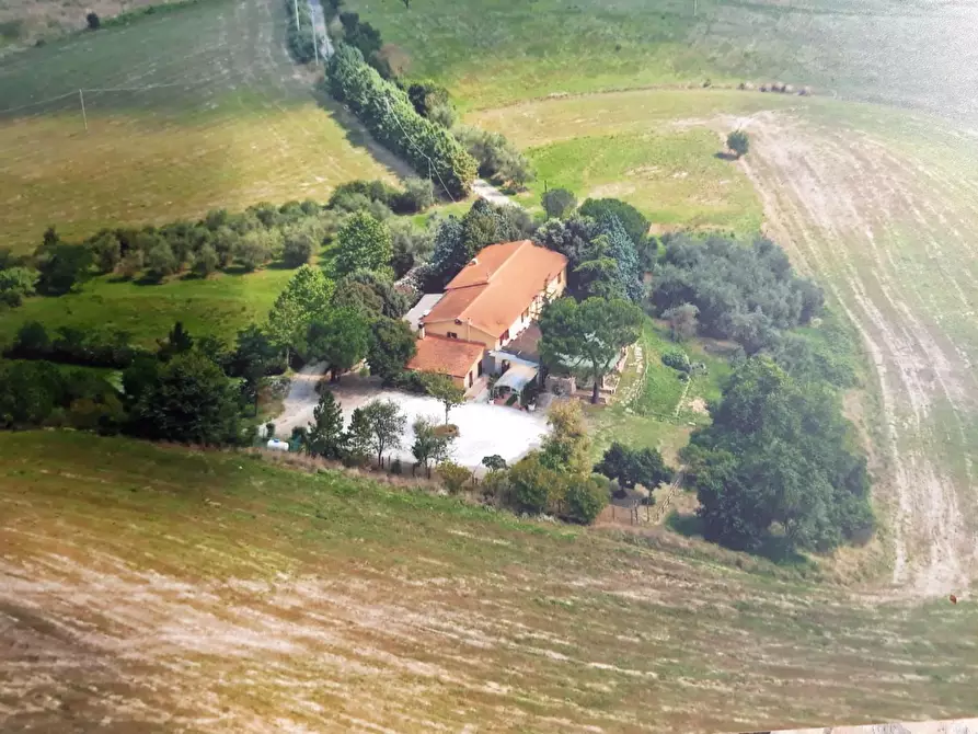 Immagine 3 di Rustico / casale in vendita  a Casciana Terme Lari