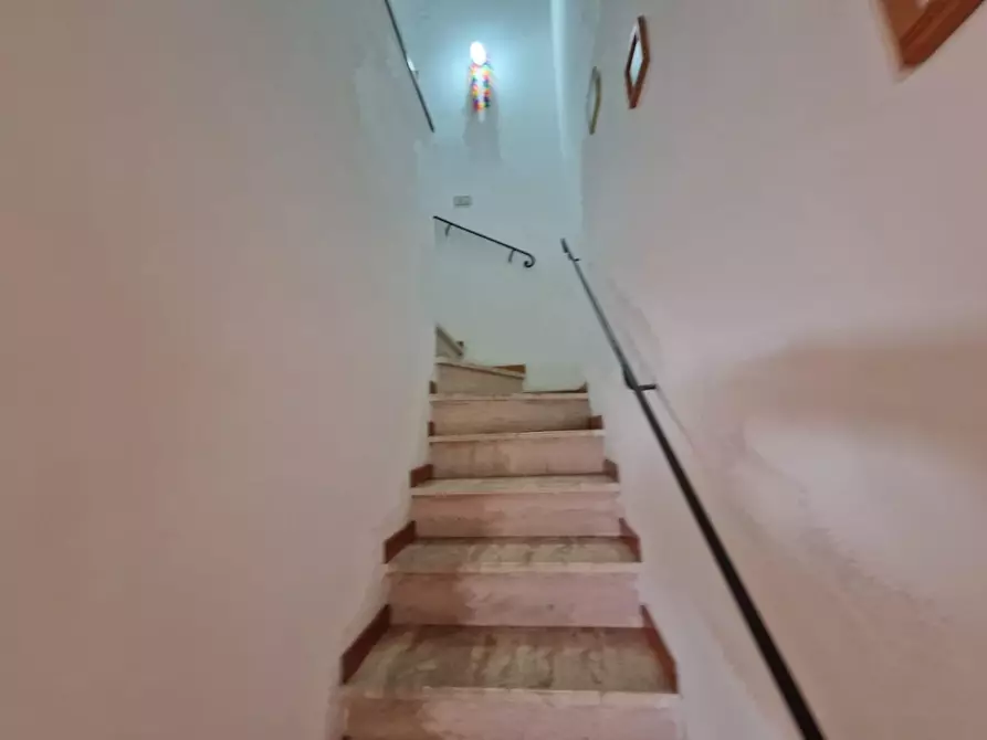 Immagine 11 di Appartamento in vendita  a Rosignano Marittimo