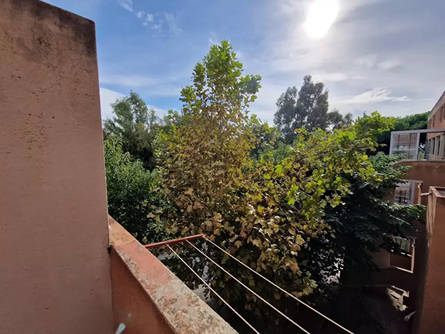 Immagine 12 di Appartamento in vendita  a Rosignano Marittimo