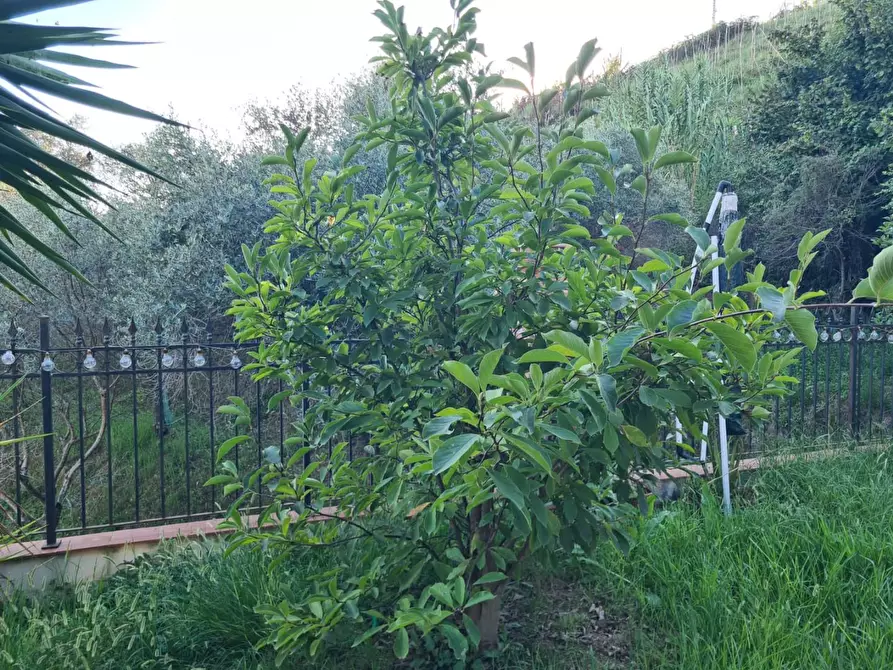 Immagine 16 di Villetta a schiera in vendita  a Carrara