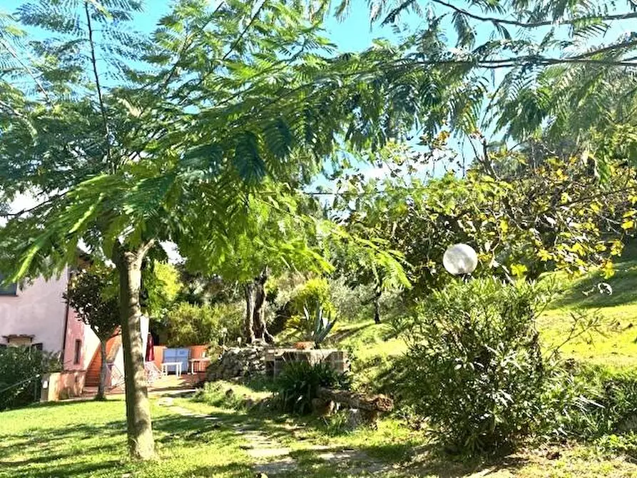 Immagine 2 di Casa semindipendente in vendita  a Livorno