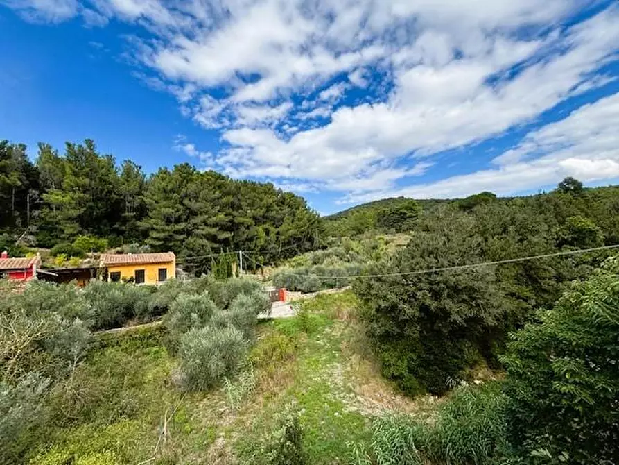 Immagine 44 di Casa semindipendente in vendita  a Livorno