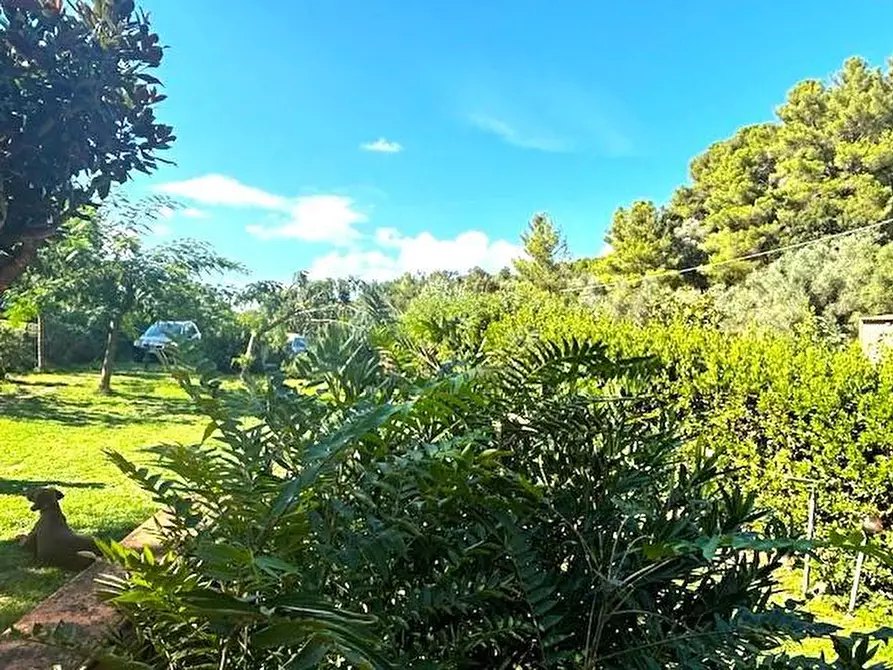 Immagine 10 di Casa semindipendente in vendita  a Livorno