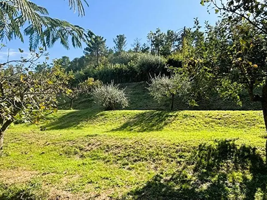 Immagine 6 di Casa semindipendente in vendita  a Livorno