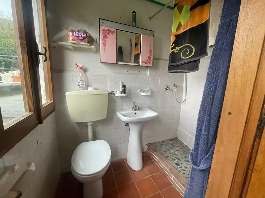 Immagine 5 di Terratetto in vendita  a Capannori