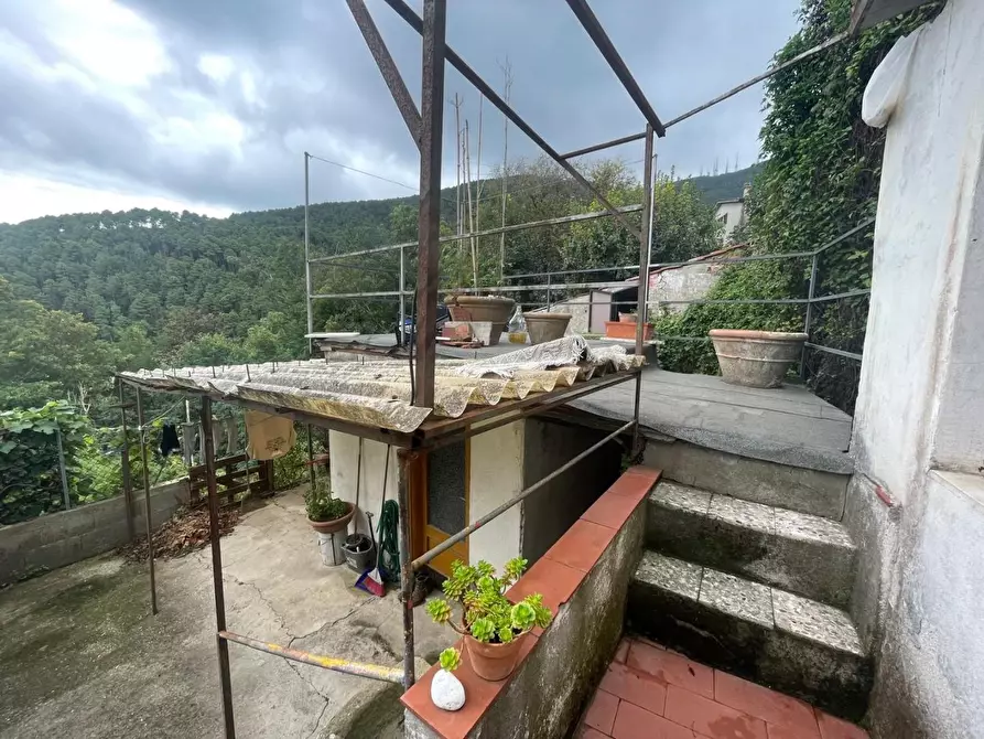 Immagine 6 di Terratetto in vendita  a Capannori