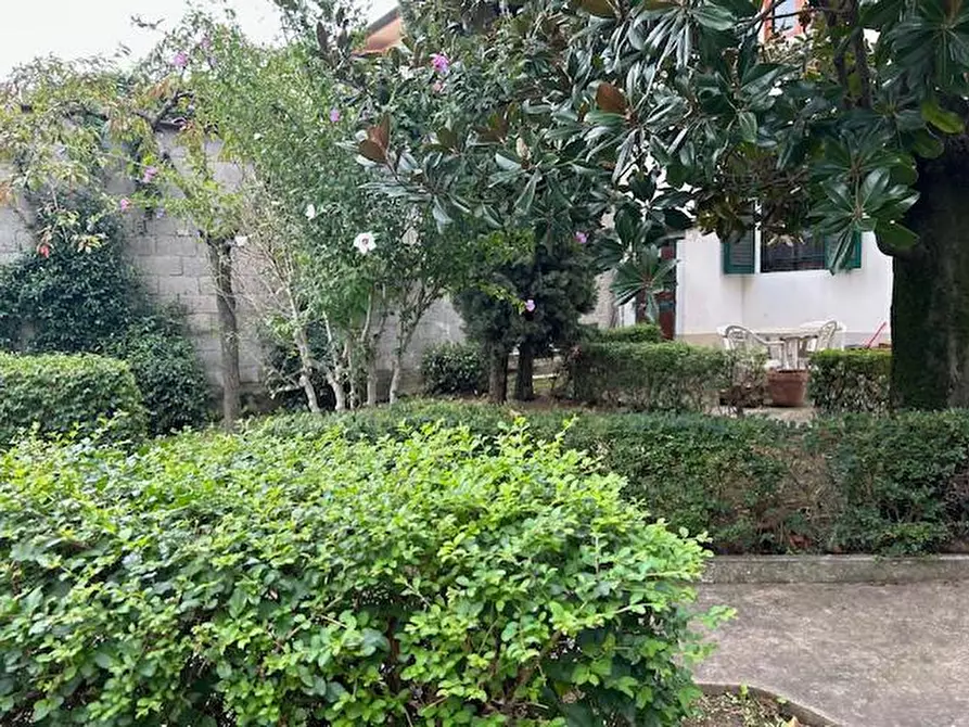 Immagine 53 di Terratetto in vendita  a Empoli