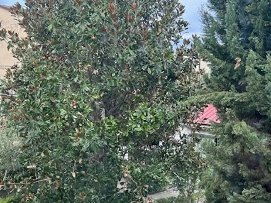 Immagine 5 di Terratetto in vendita  a Empoli