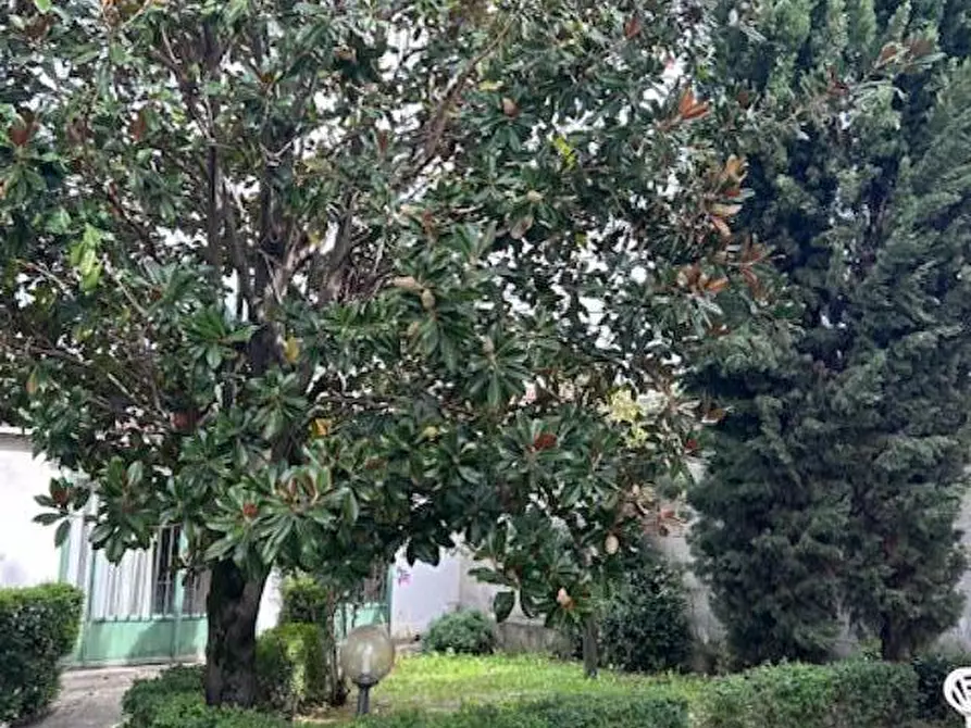 Immagine 36 di Terratetto in vendita  a Empoli