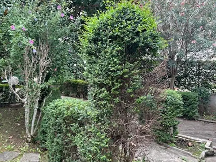 Immagine 43 di Terratetto in vendita  a Empoli