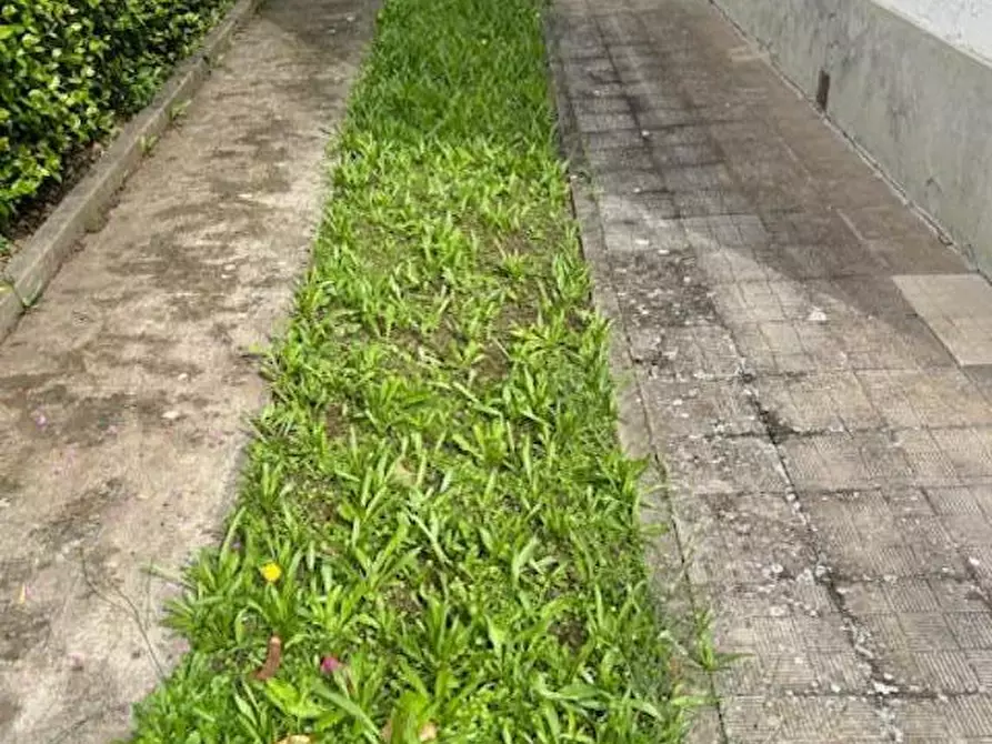 Immagine 31 di Terratetto in vendita  a Empoli