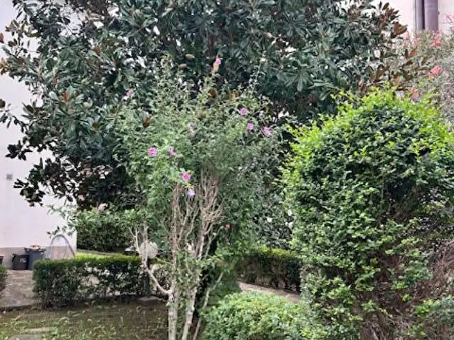 Immagine 41 di Terratetto in vendita  a Empoli