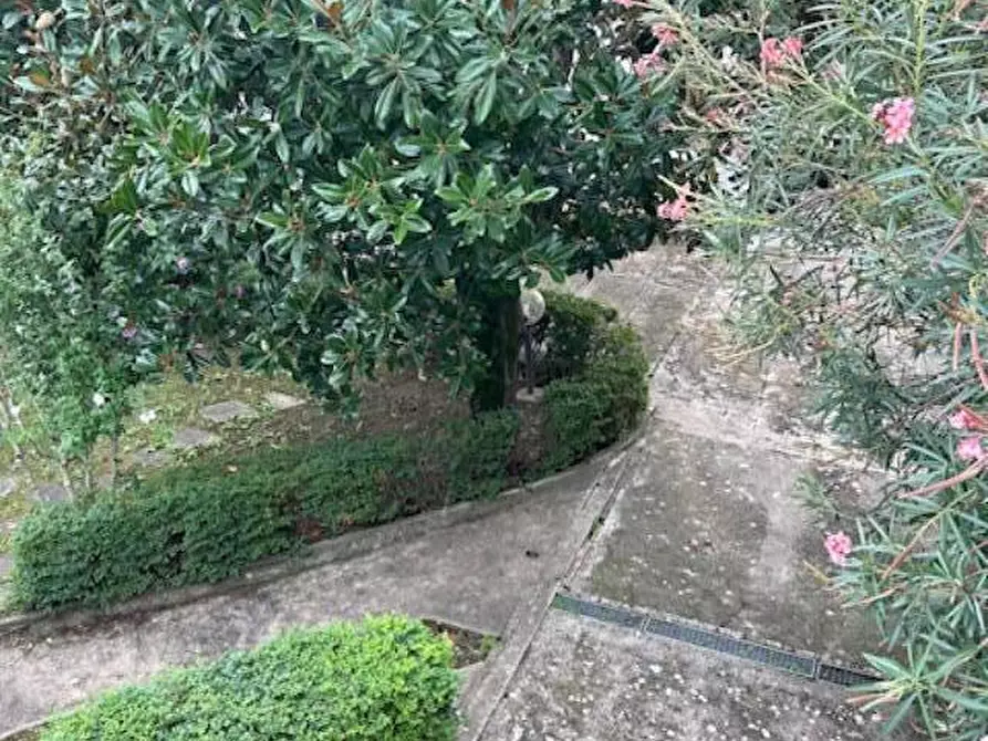 Immagine 49 di Terratetto in vendita  a Empoli