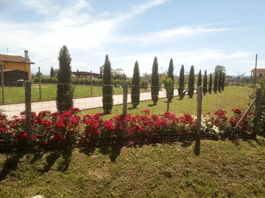 Immagine 61 di Casa indipendente in vendita  a Fauglia