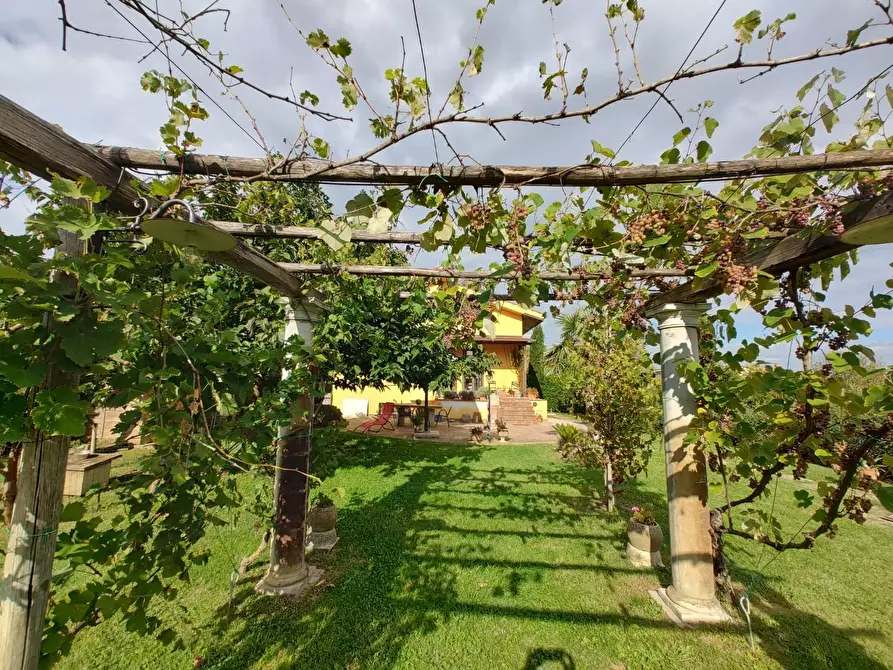 Immagine 3 di Casa indipendente in vendita  a Fauglia