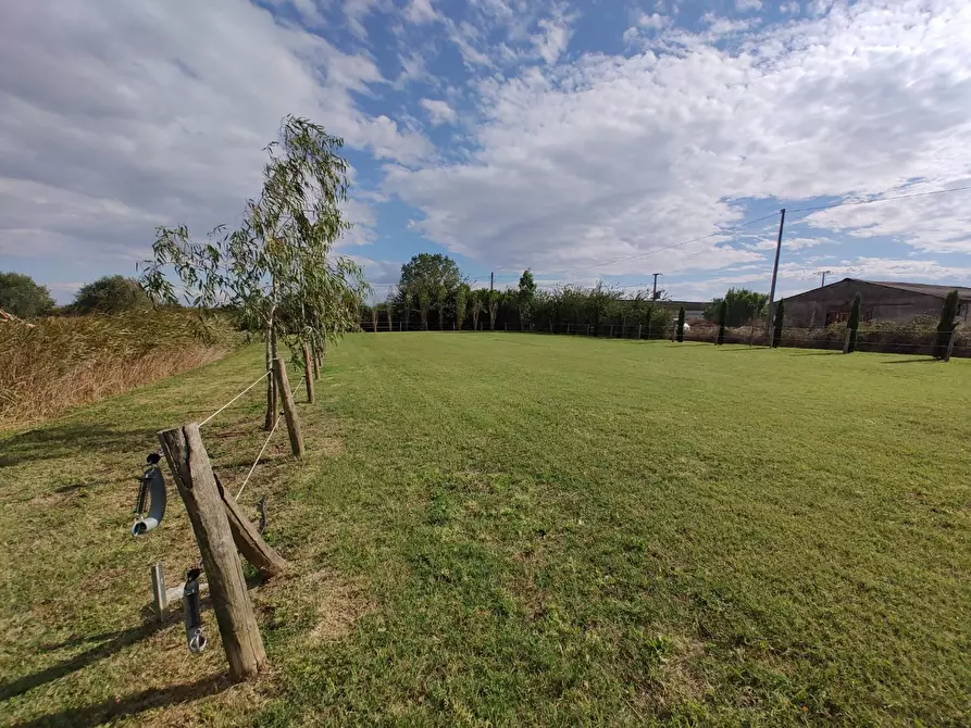 Immagine 53 di Casa indipendente in vendita  a Fauglia