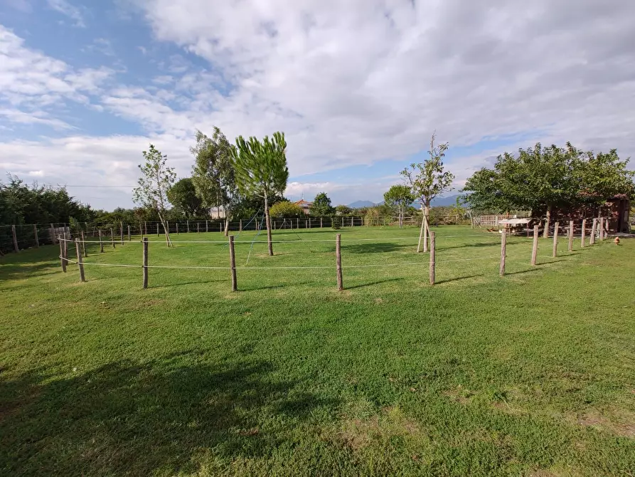 Immagine 51 di Casa indipendente in vendita  a Fauglia