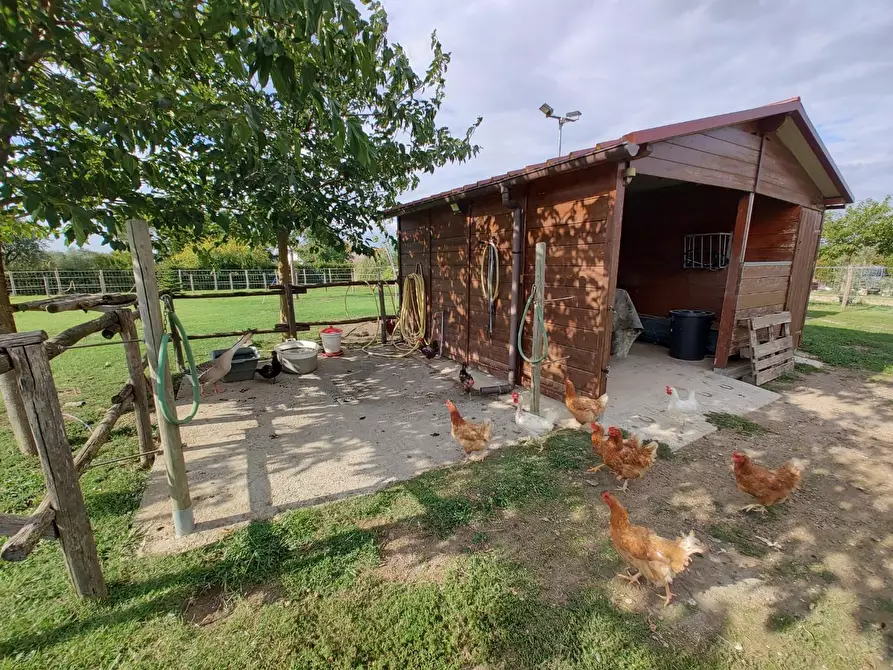 Immagine 44 di Casa indipendente in vendita  a Fauglia