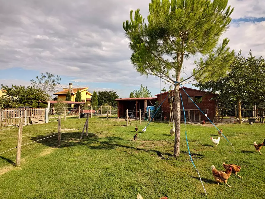 Immagine 46 di Casa indipendente in vendita  a Fauglia