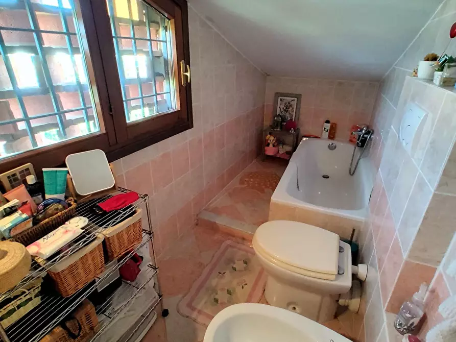 Immagine 39 di Casa indipendente in vendita  a Fauglia