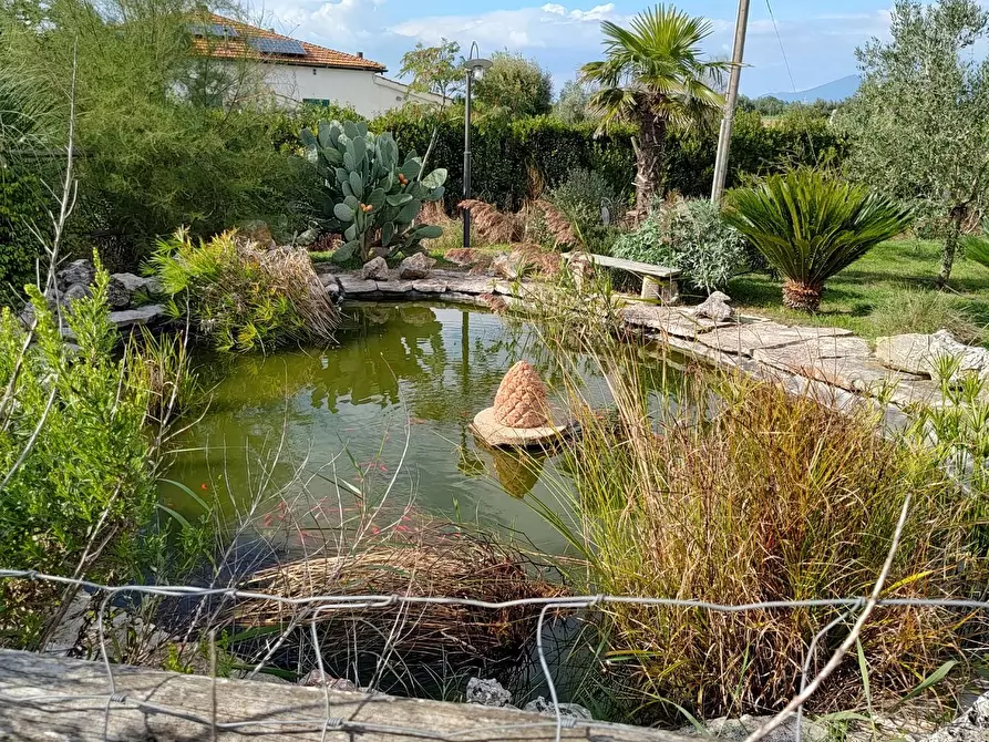 Immagine 57 di Casa indipendente in vendita  a Fauglia