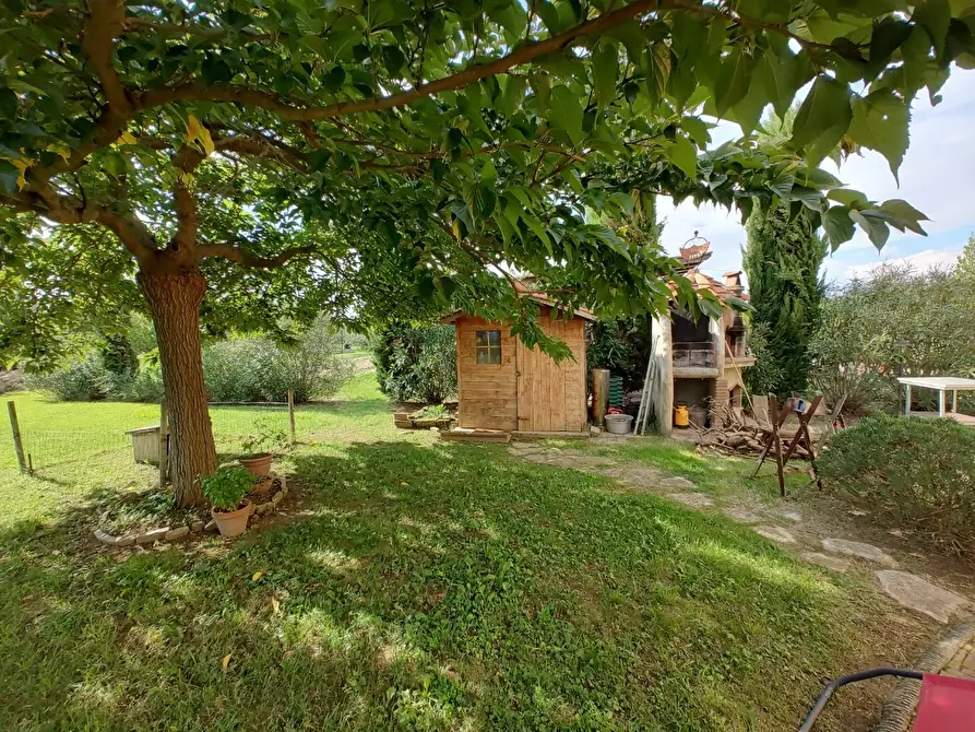 Immagine 5 di Casa indipendente in vendita  a Fauglia