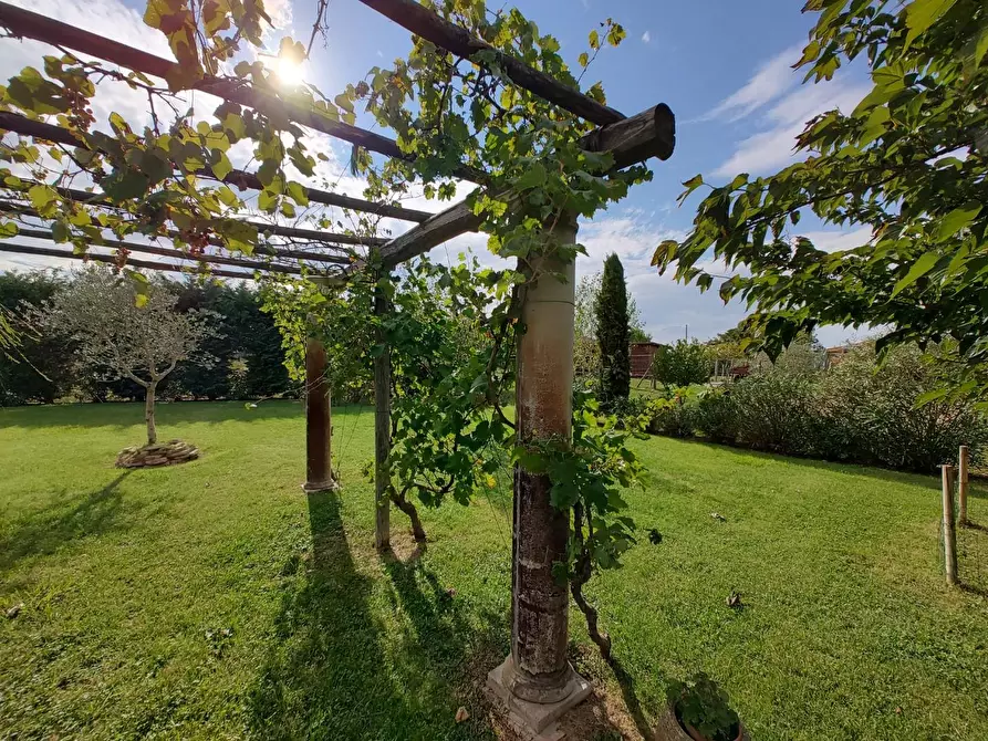 Immagine 4 di Casa indipendente in vendita  a Fauglia